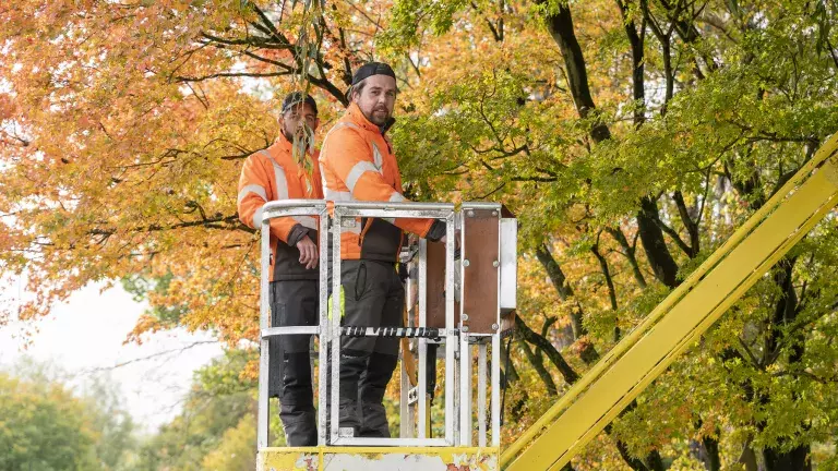 Twee collega's van de bomenploeg in een hoogwerker